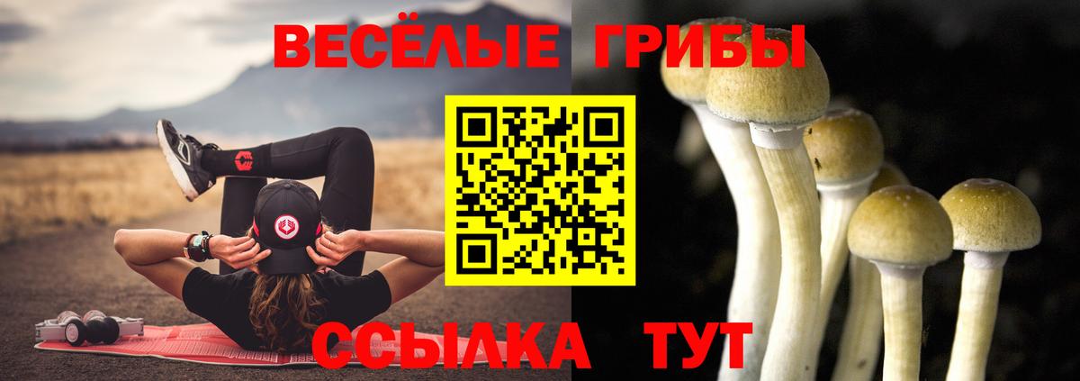 Рузаевка  Псилоцибиновые грибы Cubensis  Вход с VPN  Галлюциногенные грибы мицелий 